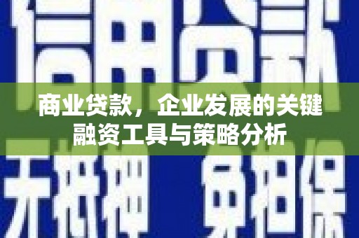 泰来商业贷款，企业发展的关键融资工具与策略分析