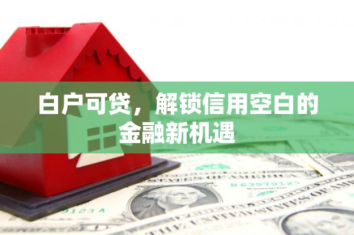 泰来白户可贷，解锁信用空白的金融新机遇