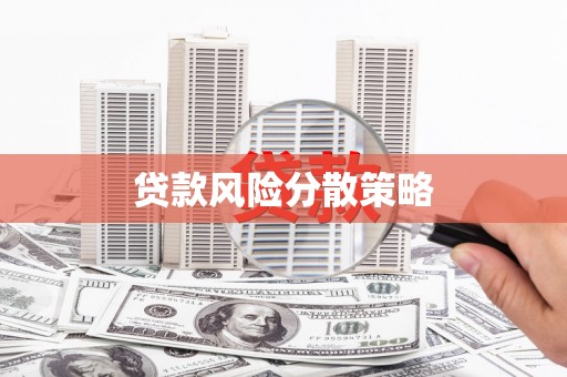 泰来贷款风险分散策略