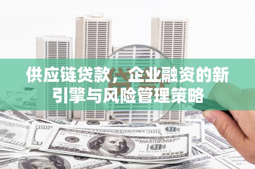 泰来供应链贷款，企业融资的新引擎与风险管理策略