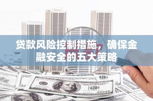 泰来贷款风险控制措施，确保金融安全的五大策略