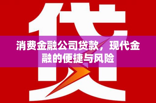 泰来消费金融公司贷款，现代金融的便捷与风险