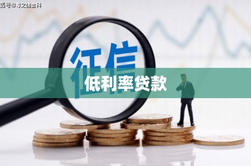泰来低利率贷款