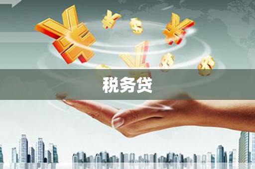 泰来税务贷