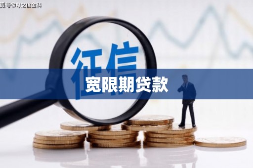 泰来宽限期贷款