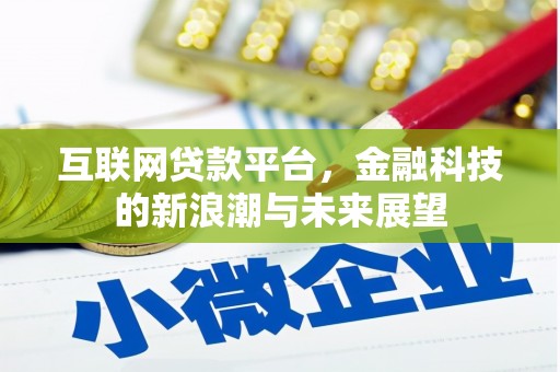 泰来互联网贷款平台，金融科技的新浪潮与未来展望