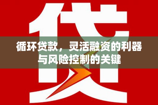 泰来循环贷款，灵活融资的利器与风险控制的关键