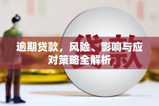 泰来逾期贷款，风险、影响与应对策略全解析