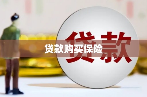 泰来贷款购买保险