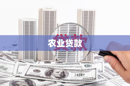 泰来农业贷款