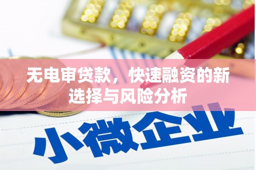 泰来无电审贷款，快速融资的新选择与风险分析