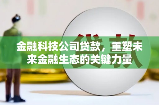 泰来金融科技公司贷款，重塑未来金融生态的关键力量