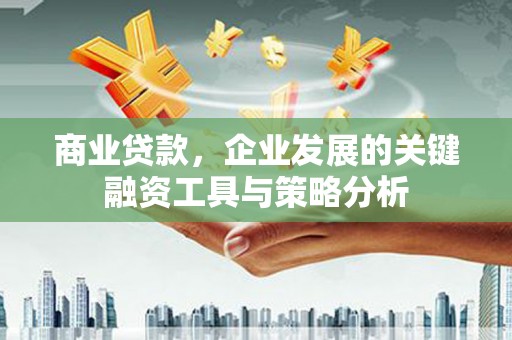 泰来商业贷款，企业发展的关键融资工具与策略分析