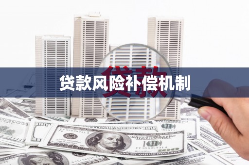泰来贷款风险补偿机制