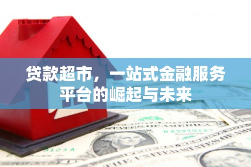 泰来贷款超市，一站式金融服务平台的崛起与未来