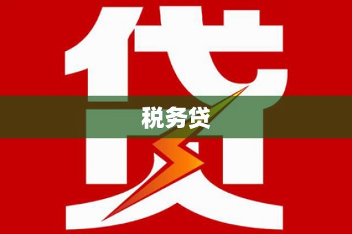 泰来税务贷