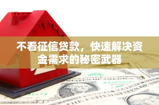 泰来不看征信贷款，快速解决资金需求的秘密武器