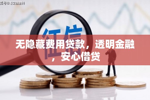 泰来无隐藏费用贷款，透明金融，安心借贷