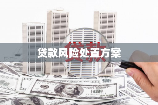 泰来贷款风险处置方案