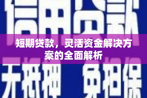 泰来短期贷款，灵活资金解决方案的全面解析