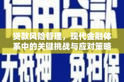 泰来贷款风险管理，现代金融体系中的关键挑战与应对策略