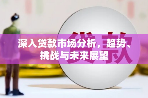 泰来深入贷款市场分析，趋势、挑战与未来展望