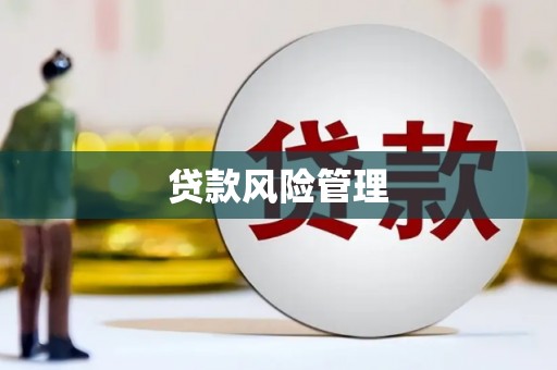 泰来贷款风险管理