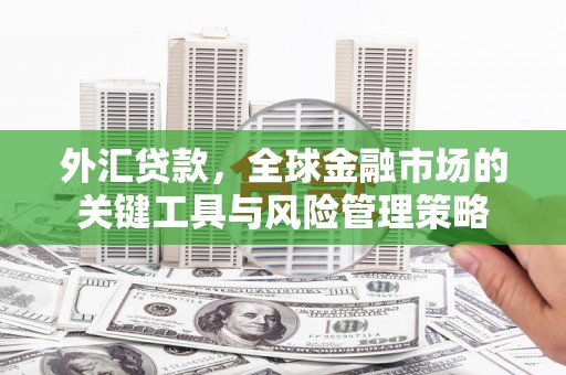 泰来外汇贷款，全球金融市场的关键工具与风险管理策略