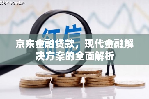 泰来京东金融贷款，现代金融解决方案的全面解析