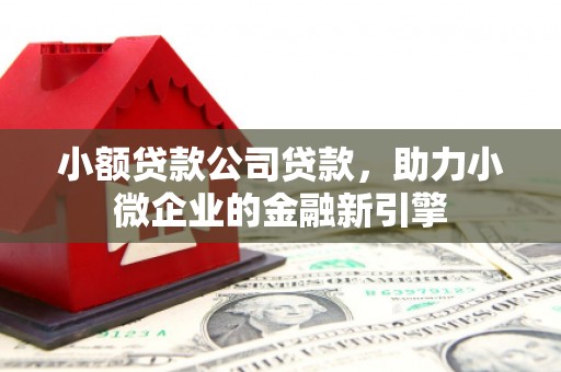 泰来小额贷款公司贷款，助力小微企业的金融新引擎
