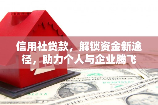 泰来信用社贷款，解锁资金新途径，助力个人与企业腾飞