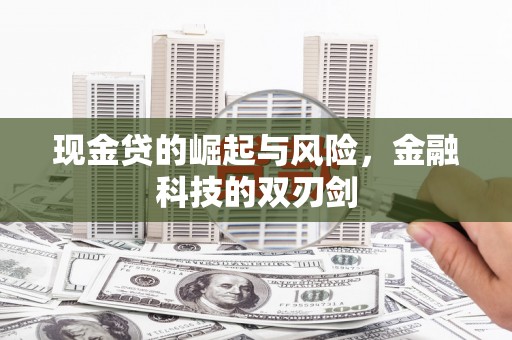 泰来现金贷的崛起与风险，金融科技的双刃剑