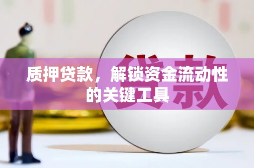 泰来质押贷款，解锁资金流动性的关键工具