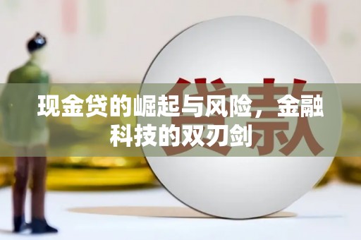 泰来现金贷的崛起与风险，金融科技的双刃剑