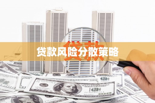 泰来贷款风险分散策略