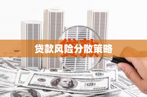 泰来贷款风险分散策略