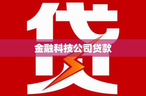 泰来金融科技公司贷款