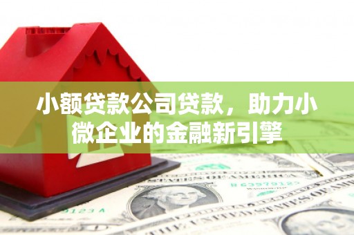 泰来小额贷款公司贷款，助力小微企业的金融新引擎