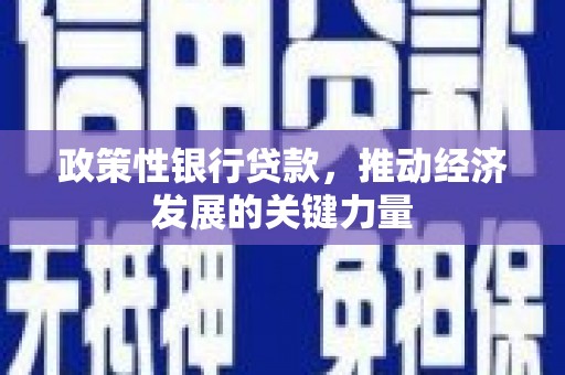 泰来政策性银行贷款，推动经济发展的关键力量