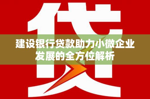 泰来建设银行贷款助力小微企业发展的全方位解析