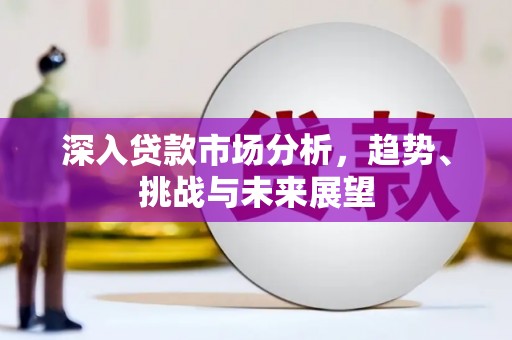 泰来深入贷款市场分析，趋势、挑战与未来展望