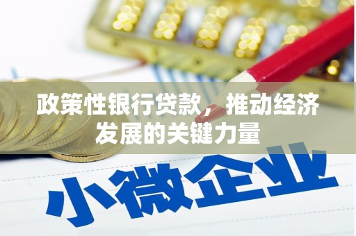 泰来政策性银行贷款，推动经济发展的关键力量