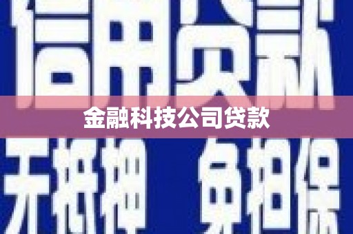 泰来金融科技公司贷款