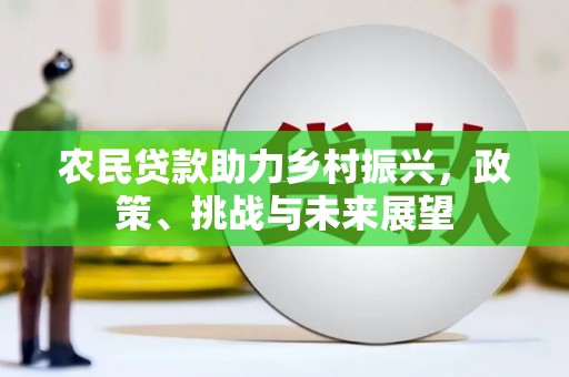 泰来农民贷款助力乡村振兴，政策、挑战与未来展望