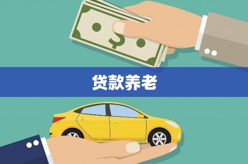 泰来贷款养老