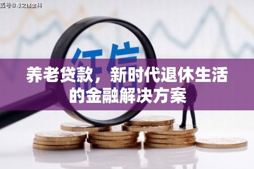 泰来养老贷款，新时代退休生活的金融解决方案