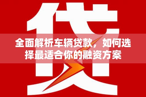 泰来全面解析车辆贷款，如何选择最适合你的融资方案