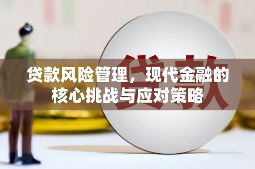 泰来贷款风险管理，现代金融的核心挑战与应对策略