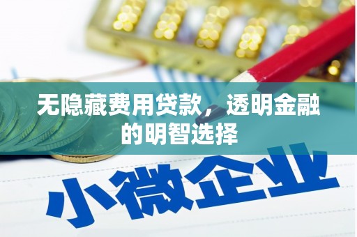 泰来无隐藏费用贷款，透明金融的明智选择