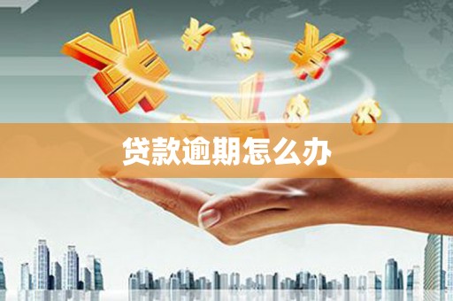 泰来贷款逾期怎么办